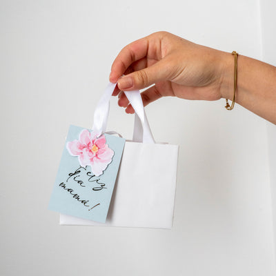 Bolsa Chica-main-image