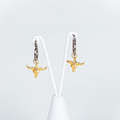 Hoops Texas-main-image