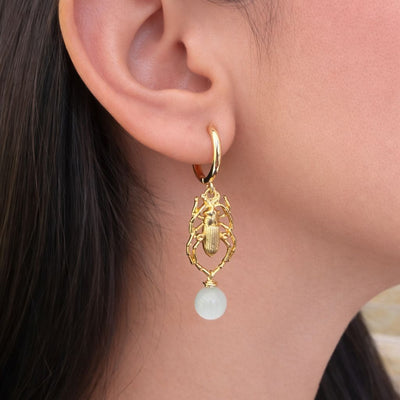 Arete Escarabeo-main-image